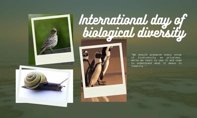 International Day of Biological Diversity. International Day for Biological Diversity illustration for banner, template, poster etc.