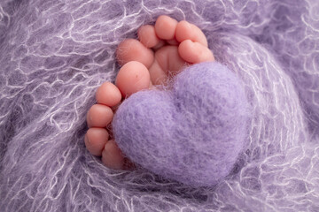 The tiny foot of a newborn baby. Soft feet of a new born in a purple, lilac wool blanket. Close up of toes, heels and feet of a newborn. Knitted purple, lilac heart in the legs of a baby. 