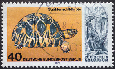 GERMANY-BERLIN - CIRCA 1977: a postage stamp from GERMANY-BERLIN, showing a radiated tortoise Testudo radiata . 25th anniversary of the reopening of the aquarium in the Berlin Zoo. Circa 1977.