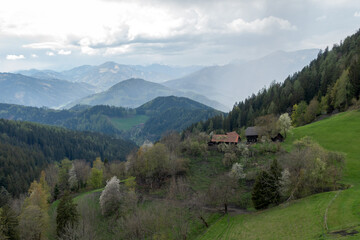 Fototapeta na wymiar Styrian mountain farm . Steirischer Bergbauernhof 