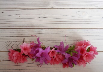 Pink, Purple Azalea Flowers and Green Leaves Lined Up at the Bottom of White Panelling with Room for Text