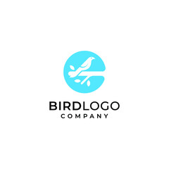 Bird logo vector design template in isolated white background