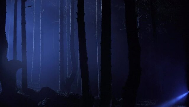 Man walking with lantern at night in foggy forest.
Man walks in night forest with lantern in hand. He's lost his way, he's looking.

