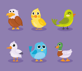 six cute birds icons