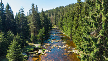 Izera river in mountains Izery on border area between Czech Republic and Poland