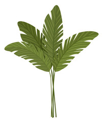 Tropical plant icon. Bunch of palm branches with large green leaves. Design element for websites and apps. Environment and nature. Cartoon realistic vector illustration isolated on white background