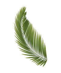 Tropical plant icon. Lush realistic palm or green fern leaf. Exotic flower. Design element for banners. Environment and nature. Cartoon gradient vector illustration isolated on white background