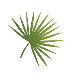 Tropical plant icon. Beautiful fan branch with long sharp leaves. Exotic flower. Environment and nature. Design element for banners. Cartoon gradient vector illustration isolated on white background