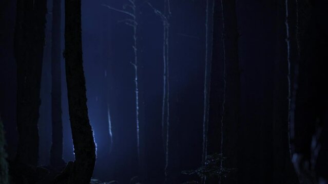 The pickaxe miner walks through the night forest.
Miner walking through foggy forest at night. He has a pickaxe.
