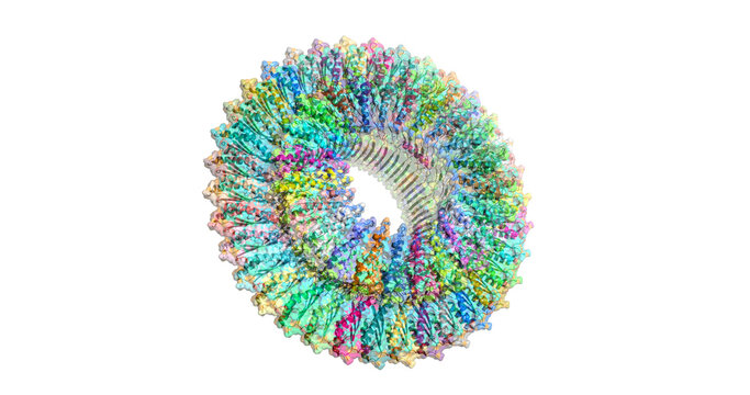 Bacterial Flagellar Motor Ring, MOTOR PROTEIN, 3D Molecule