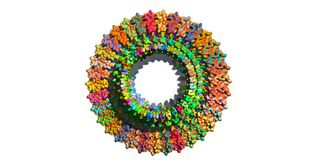 Bacterial flagellar motor ring, MOTOR PROTEIN, 3D molecule