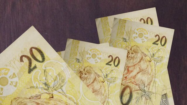 animation for economics and finance themes with brazilian money