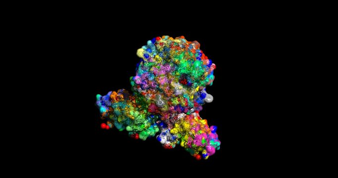 Human insulin and serotonin complex, 3D molecule, spinning, 4K