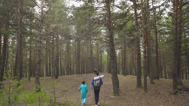 Two brothers walking in the forest. Hiking.
While the two brothers are wandering in the forest, the younger brother shows the trees and laughs.
