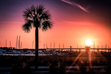 Naklejka premium Sunset over the Marina