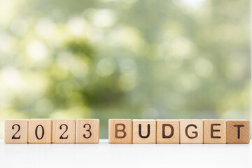 2023 Budget planning and allocation concept. Wooden cube the inscription "BUDGET 2023" with green background, copy space. Use for banner and presentation