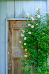 ローザンベリー多和田の小屋と扉と花