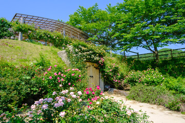 ローザンベリー多和田　バラの庭園