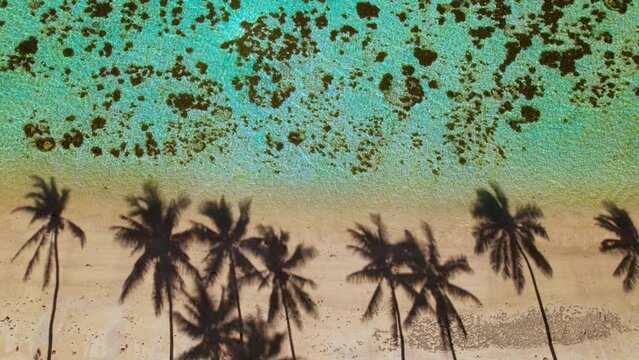 Tropical island paradise palm tree shadows on sand beach in exotic Fiji - Aerial