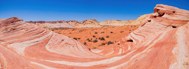 Sunny view of the Firewave of Valley of Fire State Park