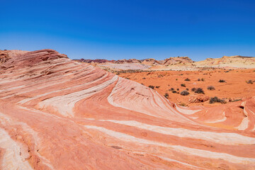 Sunny view of the Firewave of Valley of Fire State Park