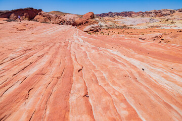 Sunny view of the Firewave of Valley of Fire State Park