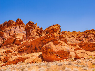 Fototapeta premium Sunny view of the landscape of Valley of Fire State Park