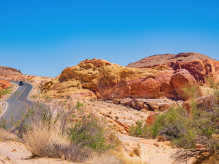 Fototapeta premium Sunny view of the landscape of Valley of Fire State Park