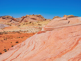 Sunny view of the Firewave of Valley of Fire State Park