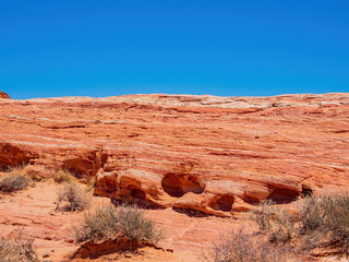 Fototapeta premium Sunny view of the landscape of Valley of Fire State Park
