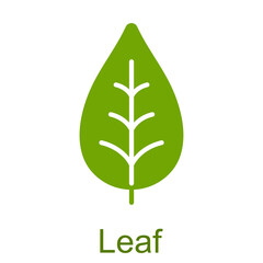 Simple green glyph leaf icon.