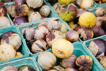A view of several trays of purple tomatillos, seen at a local farmers market.