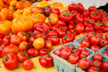 A view of several varieties of tomatoes, seen at a local farmers market.
