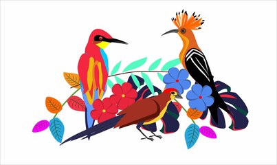 Hoopoe and kingfisher birds and forest plants vector nature wild composition on white vector