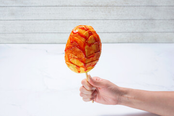 A view of a hand holding a mango flower on a stick.