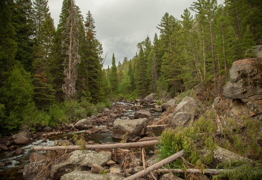 Boulder Creek In Wind River Range, Wyoming