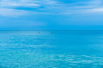 Obraz premium The turquoise Atlantic Ocean reflects the blue sky with pelicans flying in the distance.