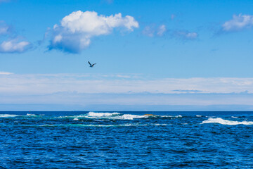 Light roughness of the Atlantic Ocean washing a stone island off the coast in New Hampshire, USA