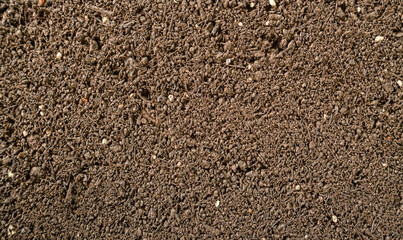 Outdoor sandy soil layer profile background