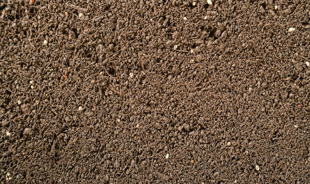 Outdoor Sandy Soil Layer Profile Background