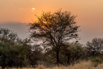 Sunset on the African savannah, in Namibia