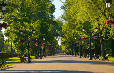 Mogosoaia Park next to Bucharest with straight view of the beautiful alley full of spring flowers. Landmarks of Romania.