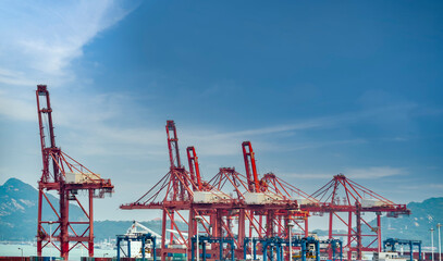 City Shoreline Port Terminal Tower Cranes and Container Logistics