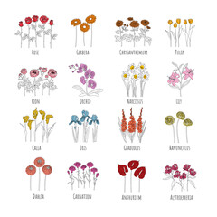 Set of minimalistic main flowers: Rose, Gerbera, Chrysanthemum, Tulip, Pion, Orchid, Narcissus, Lily, Calla, Iris, Gladiolus, Ranunculus, Dahlia, Carnation, Anthurium, Alstroemeria. Editable string. 
