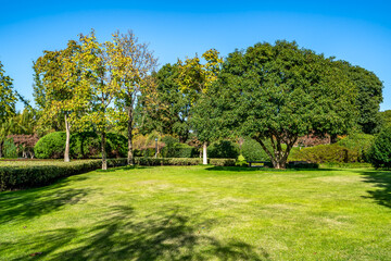 park sunshine grass green woods