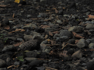 the rocks across the river, there are tree branches and dry tree leaves. Very suitable for activities related to nature
