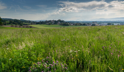 view of the picturesque and historic town of Avenches with a wildflower meadow in the foreground