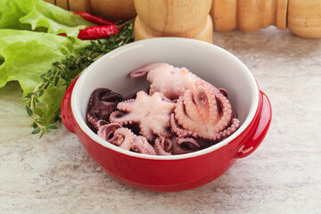 Marinated baby octopus seafood in the bowl