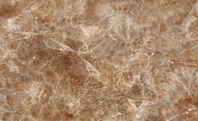 Fototapeta na wymiar New Scattered spider web Figures Natural brown marble stone structure for tiles