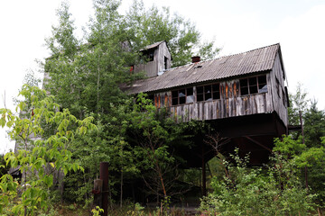 Abandoned sawmill in chernobyl exclusion zone
